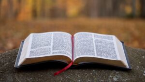 An open Bible